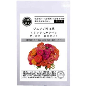 �L�@��q�W�j�A �S���� �~�b�N�X�J���[�̎�12��