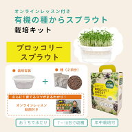 ブロッコリースプラウト栽培キット オンラインレッスン動画・有機の種付き
