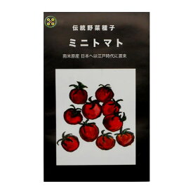 在来種/固定種/無農薬栽培野菜のタネ「畑懐のミニトマト0.2m」畑懐〔はふう〕の種【メール便可】