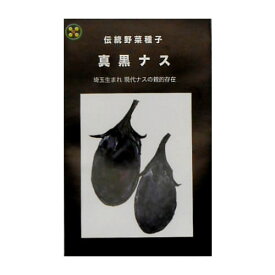 在来種/固定種/野菜のタネ「真黒なす0.5ml約45粒」畑懐〔はふう〕の種【メール便可】