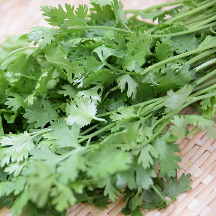 楽天市場 在来種 固定種 野菜のタネ コリアンダー パクチー 8ml 約230粒 畑懐 はふう の種 メール便可 冷えとりとやさしい暮らしてくてく