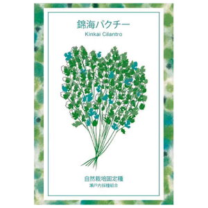 y̎/ŒzъCpN`[)̎10ml(200j@k͂ӂl̎y[։z