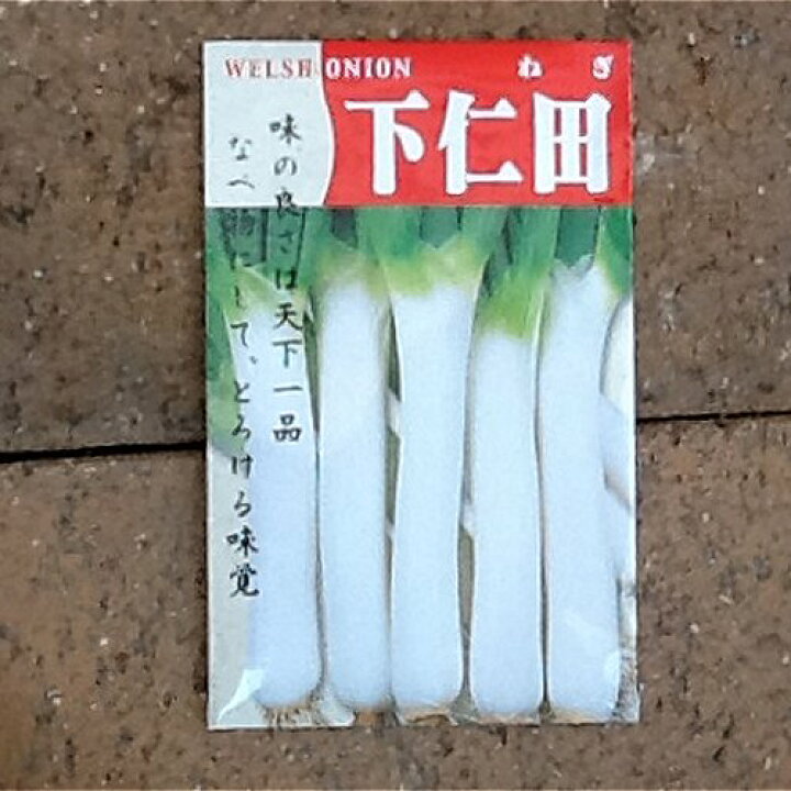 楽天市場 在来種 固定種 野菜のタネ 下仁田ネギ5ml 約700粒 畑懐 はふう の種 メール便可 冷えとりとやさしい暮らしてくてく