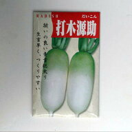 【国内採取/固定種】打木源助大根の種5ml(約200粒）　畑懐〔はふう〕の種【メール便可】
