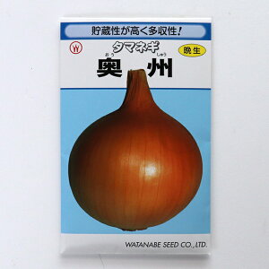 y̎/ŒzBʔK(Ӑ)̎5ml(800j@k͂ӂl̎y[։z