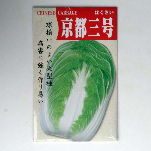 在来種 固定種 野菜のタネ「京都三号白菜5ml(約800粒）」畑懐〔はふう〕の種