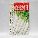 【固定種】白長20日大根(ミニ大根)の種5ml(約300粒）　畑懐〔はふう〕の種【メール便可】