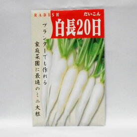 【固定種】白長20日大根(ミニ大根)の種5ml(約300粒）　畑懐〔はふう〕の種【メール便可】