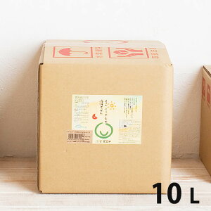 ChECEA[X̉t̂ EH􂢁E|p 10L kL[ul