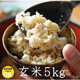 長野県産 れんげ米 玄米・5kg