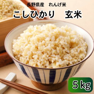 yVāz쌧Y 񂰕 āE5kg