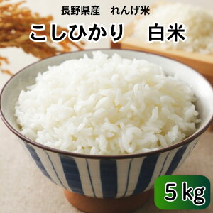 yVāz쌧Y 񂰕 āE5kg