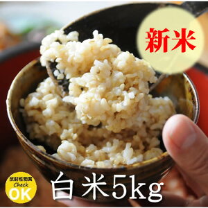 yVāz쌧Y 񂰕 āE5kg