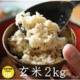 長野県産 れんげ米 玄米・2kg