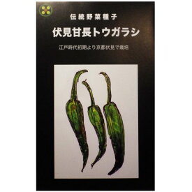 在来種/固定種/野菜のタネ「伏見甘長とうがらし0.5ml約30粒」畑懐〔はふう〕の種【メール便可】