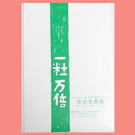 楽天市場 花 オクラ の 種の通販 楽天市場 花 オクラ の 種の通販