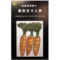 【国内採種/固定種】黒田五寸人参の種8ml　畑懐〔はふう〕の種【メール便可】