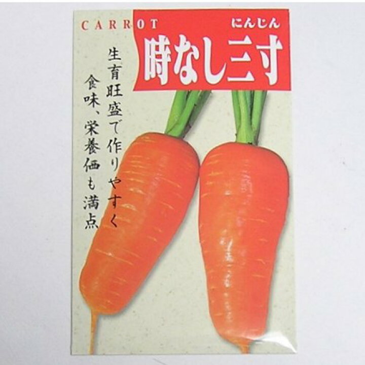 楽天市場 在来種 固定種 野菜のタネ 時なし三寸人参5ml 約1800粒 畑懐 はふう の種 メール便可 冷えとりとやさしい暮らしてくてく