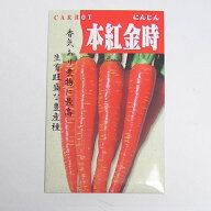 【固定種】本紅金時にんじんの種8ml　畑懐〔はふう〕の種【メール便可】