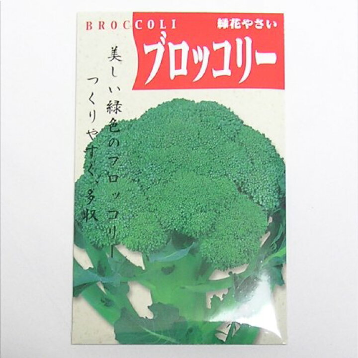 楽天市場】在来種/固定種/野菜のタネ「ブロッコリー(ドシコ)2ml(約450粒)」畑懐〔はふう〕の種【メール便可】 : 冷えとりとやさしい暮らしてくてく 楽天市場】在来種/固定種/野菜のタネ「ブロッコリー(ドシコ)2ml(約450粒)」畑懐〔はふう〕の種【メール便可】 : 冷えとりとやさしい暮らしてくてく