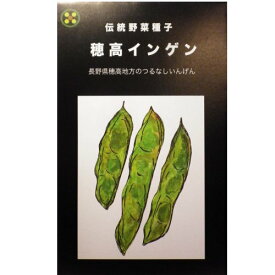 在来種/固定種/野菜のタネ「穂高いんげん40ml約50粒」畑懐〔はふう〕の種【メール便可】