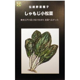 在来種/固定種/野菜のタネ「しゃもじ小松菜5ml(約900粒）」畑懐〔はふう〕の種【メール便可】