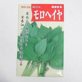 在来種/固定種/野菜のタネ「モロヘイヤ1ml約400粒」畑懐〔はふう〕の種【メール便可】