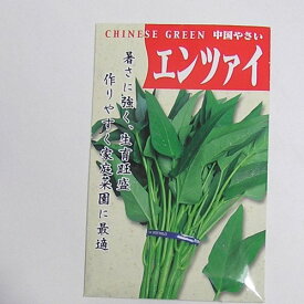 在来種/固定種/野菜のタネ「エンツァイ〔空心菜〕10ml約150粒」畑懐〔はふう〕の種【メール便可】