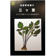 【国内採取／固定種】三ツ葉の種5ml　畑懐〔はふう〕の種【メール便可】