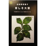 【国内採取/固定種】地蔵ファームの青しそ大葉3ml　畑懐〔はふう〕の種【メール便可】