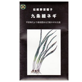 【固定種】九条細ネギ(葉ネギ)の種7ml　畑懐〔はふう〕の種【メール便可】