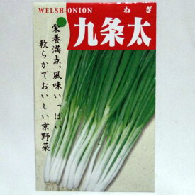 在来種/固定種/野菜のタネ「九条太ネギ7ml(約1200粒）」畑懐〔はふう〕の種【メール便可】