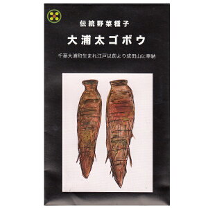 【国内採種/固定種】大浦太ゴボウの種8ml(約350粒) 畑懐〔はふう〕の種【メール便可】