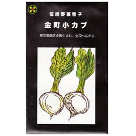 在来種/固定種/野菜のタネ「金町小カブ5ml(約1200粒）」畑懐〔はふう〕の種【メール便可】