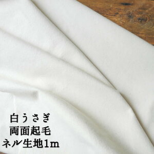 ʋNуln91cm1[gy1[ĝ݃[։z 