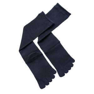 @a ؖȌC nC\bNX k5{wl MELTCY y[։z