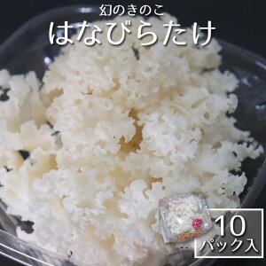 y①zMBYE͂Ȃт炽 k10pbNl yXSz