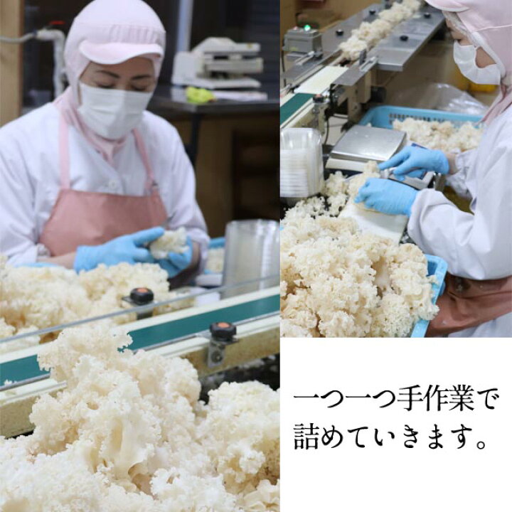 楽天市場】南信州産・はなびらたけ 1箱 〔20パック入〕 【送料