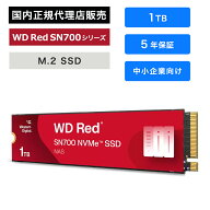 【国内正規品】SanDisk (サンディスク) WD Red SN700 SSD 1TB WDS100T1R0C NVMe 内蔵ドライブ用 内蔵SSD …