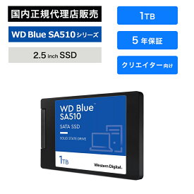 Western Digital (ウエスタンデジタル) WD Blue SA510 SSD 1TB WDS100T3B0A