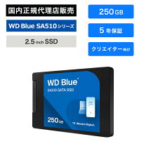 楽天市場】western digital wds250g2b0c 250gb wd blue sn550 nvme ssd  