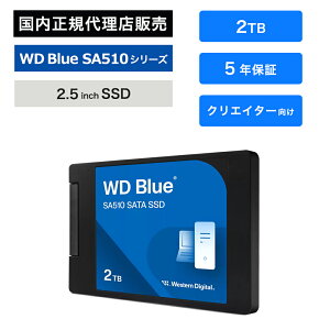 SanDisk (TfBXN) WD_Blue SA510 SSD 2TB WDS200T3B0A