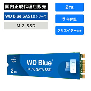 SanDisk (�T���f�B�X�N) WD Blue SA510 SSD 2TB WDS200T3B0B SATA6Gb/s M.2 2280 �����]�� ���ϋv �Ď��@�\ �N���[���@�\ Windows�݊� �T�[�}���v���e�N�V���� Acronis�\�t�g�t��