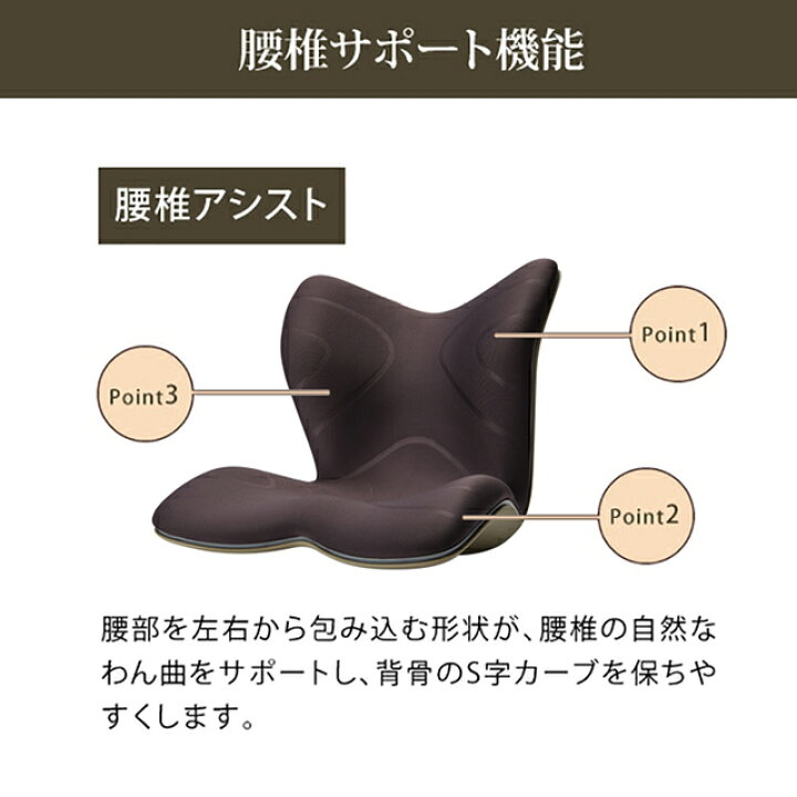 楽天市場】スタイルプレミアム Style PREMIUM MTG正規販売店 骨盤 