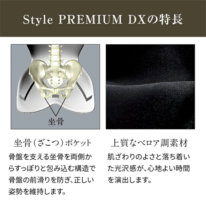 楽天市場】スタイルプレミアムデラックス Style PREMIUM DX 骨盤 