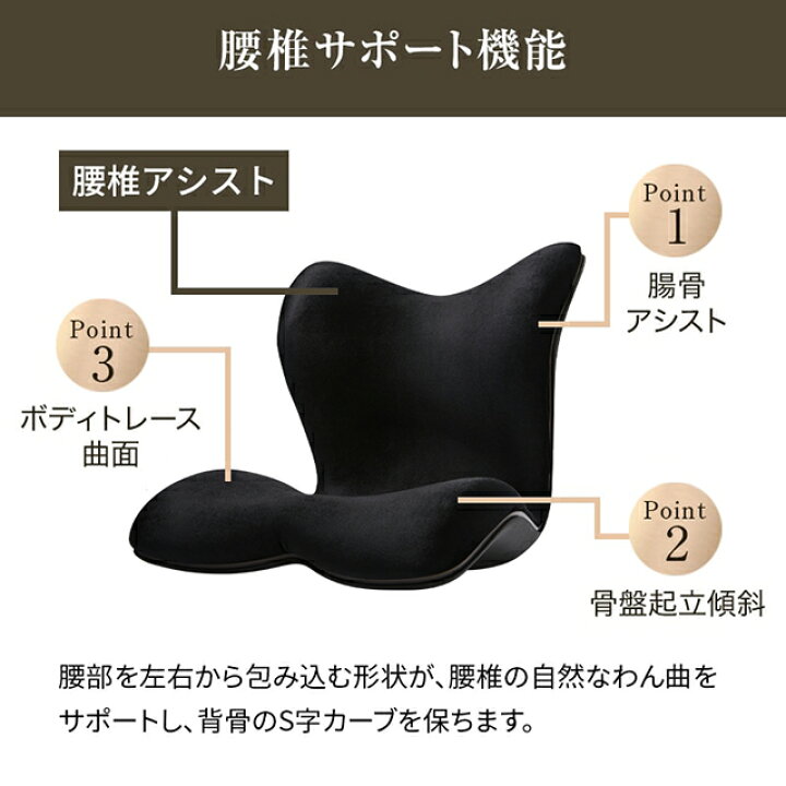 楽天市場】スタイルプレミアムデラックス Style PREMIUM DX 骨盤 