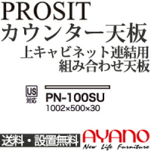 y֓z쐻쏊 / jbgHI PROSIT v[Wbg / JE^[V [ / PN-100SUysz