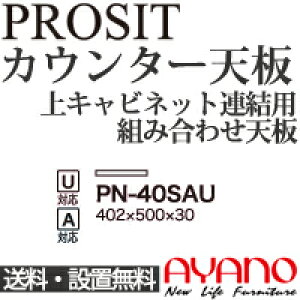 y֓z쐻쏊 / jbgHI PROSIT v[Wbg / JE^[V [ / PN-40SAUysz