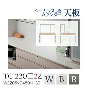 y֓z쐻쏊 / jbgHI BASIS xCVX / V[X1V Z~bNV  / TC-220W2Z TC-220B2Z TC-220R2Zysz