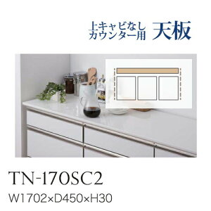 y֓z쐻쏊 / jbgHI BASIS xCVX / JE^[V  ʘAȂ / TN-170SC2ysz